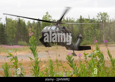 Eine Alaska Army National Guard UH-60L Black Hawk, die von einer Luftbesatzung betrieben wird, die dem Bataillon 1., dem 207. Aviation Truppenkommando, zugewiesen ist, transportiert Mitglieder des Anchorage Police Department und des Alaska State Troopers Special Weapons and Tactics (SWAT) Teams auf der Joint Base Elmendorf-Richardson, Alaska, 13. Juli 2022. Die umfangreichen und strengen Trainingsbereiche von JBER boten den SWAT-Teams der lokalen Strafverfolgungsbehörden einen idealen Rahmen, da sie ihre Fähigkeiten im ländlichen Betrieb, die Aufgabenplanung, die Aufklärung, die Sicherheitsverfahren für Hubschrauber, die Landnavigation, Teambewegung und Patrouille. (USA Luftwaffe Foto von Alejandro Peñ Stockfoto