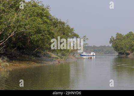 Touristenboot im Sundarbans, dem größten Mangrovenwald der Welt. Stockfoto