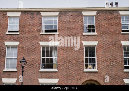 Stilvolle georgianische Häuser an der Mount Street in Liverpool Stockfoto