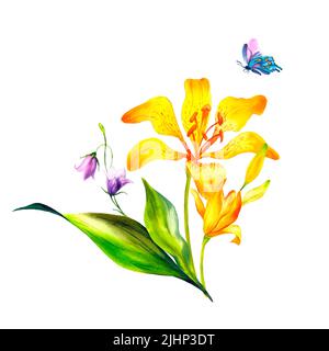 Lilien sind orange, Aquarell-Illustration mit orangen Lilien auf einem isolierten Hintergrund, Bouquet von orangen Lilien und Bluebells, Botanical illustrationo Stockfoto