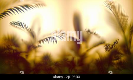 Verschwommene tropische Blätter hinter Milchglas. Glasmorphismus. Tropischer Blatthintergrund. 3D Abbildung. Stockfoto