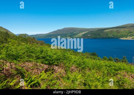 Blick vom Hügel über Letters, Highland, Schottland, Großbritannien, auf Loch Broom in Richtung Ullapool. Stockfoto