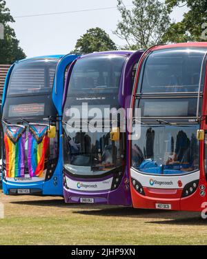 Stagecoach-Busse mit spezieller Lackierung: gay Pride Flaggen, das Platin-Jubiläum der Königin und die Royal British Legion Poppy Appeal, England, Großbritannien Stockfoto