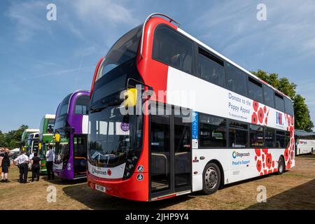 Stagecoach-Busse in besonderer Lackierung: Feiern des Platin-Jubiläums der Königin und der Royal British Legion Poppy Appeal, England, Großbritannien Stockfoto