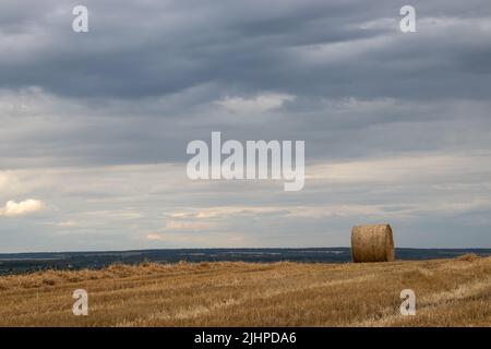 Strohballen auf dem Feld nach der Weizenernte. Sommerlandschaft in der Ukraine mit Strohrollen und stürmisch dramatischen Himmel mit Wolken Stockfoto