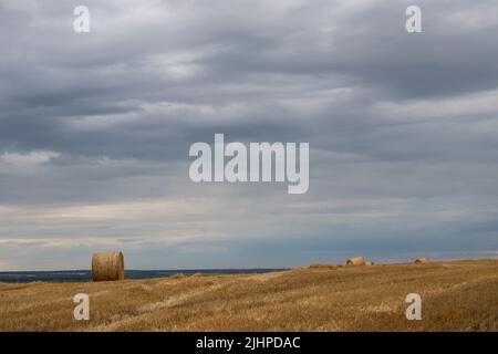 Strohballen auf dem Feld nach der Weizenernte. Sommerlandschaft in der Ukraine mit Strohrollen und stürmisch dramatischen Himmel mit Wolken Stockfoto