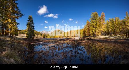 Lac de Roue See im Queyras Regional Nature Park im Herbst (Panorama). Arvieux in den Hautes-Alpes (Französische Alpen). Frankreich Stockfoto