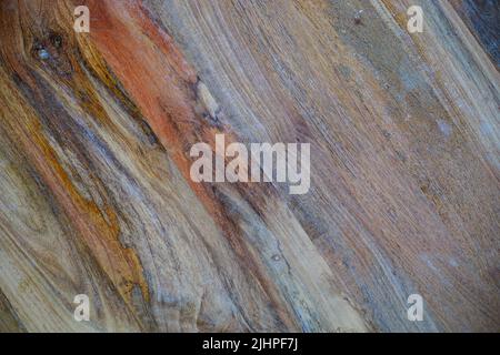 Textur aus altem und abgenutztem Holz in verschiedenen Schattierungen mit Ästen und Rissen ideal für Hintergründe und verschiedene Designs Stockfoto