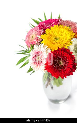 Gerbera Blumen in Vase auf weißem Hintergrund Stockfoto