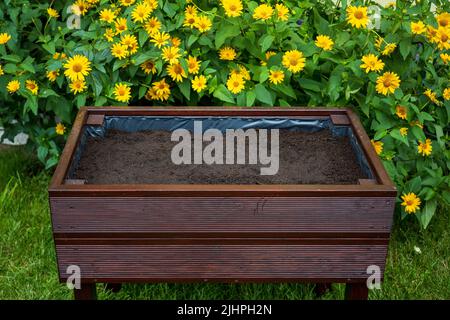 Holztopf mit gepflanzten Gemüsesamen. Bodenschicht mit einer Schicht aus Blähton auf dem Boden. Home Gemüsegarten mit schönen gelben Blume Stockfoto