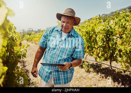 Lächelnder älterer gemischter Landwirt mit einem digitalen Tablet auf seinem Weinberg. Älterer hispanischer Mann, der allein steht und Technologie auf einer Weinfarm verwendet Stockfoto
