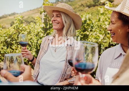 Eine Gruppe von Freunden, die Weingläser auf einem Weinberg halten. Glückliche Gruppe von Menschen, die während der Weinprobe auf dem Bauernhof zusammen stehen und sich verbinden Stockfoto