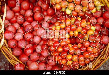 Naturgeschenke, herbstliches Stillleben, herbstliche Früchte, Gemüse und Beeren Stockfoto