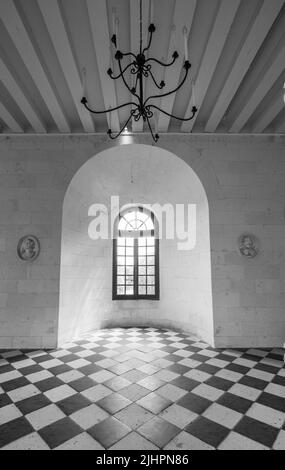 Fenster mit Blick auf den Fluss Cher in der Medici-Galerie im Chateau de Chenonceau im Loire-Tal, Zentralfrankreich. Stockfoto