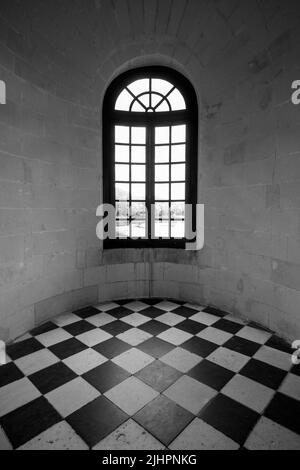 Fenster mit Blick auf den Fluss Cher in der Medici-Galerie im Chateau de Chenonceau im Loire-Tal, Zentralfrankreich. Stockfoto