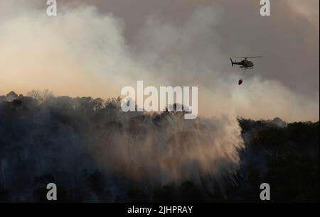 Spanien - Ávila - Cebreros - Brandwelle in Spanien - infolge der hohen Temperaturen und einer historischen Hitzewelle trafen viele Waldbrände auf der Iberischen Halbinsel. Die Brigaden und Feuerwehrleute versuchen heldenhaft, mit den Flammen umzugehen, die immer unantastbarer und schwer zu löschen werden. Stockfoto