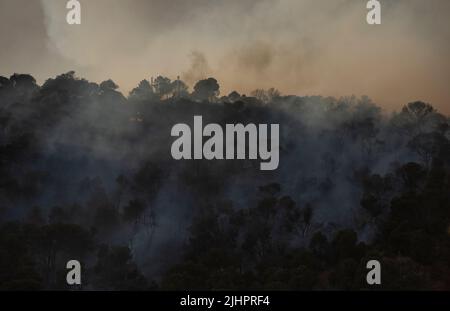 Spanien - Ávila - Cebreros - Brandwelle in Spanien - infolge der hohen Temperaturen und einer historischen Hitzewelle trafen viele Waldbrände auf der Iberischen Halbinsel. Die Brigaden und Feuerwehrleute versuchen heldenhaft, mit den Flammen umzugehen, die immer unantastbarer und schwer zu löschen werden. Stockfoto