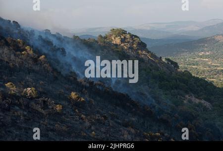 Spanien - Ávila - Cebreros - Brandwelle in Spanien - infolge der hohen Temperaturen und einer historischen Hitzewelle trafen viele Waldbrände auf der Iberischen Halbinsel. Die Brigaden und Feuerwehrleute versuchen heldenhaft, mit den Flammen umzugehen, die immer unantastbarer und schwer zu löschen werden. Stockfoto