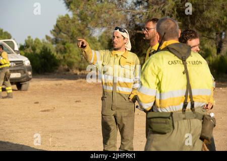 Spanien - Ávila - Cebreros - Brandwelle in Spanien - infolge der hohen Temperaturen und einer historischen Hitzewelle trafen viele Waldbrände auf der Iberischen Halbinsel. Die Brigaden und Feuerwehrleute versuchen heldenhaft, mit den Flammen umzugehen, die immer unantastbarer und schwer zu löschen werden. Stockfoto