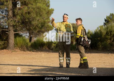 Spanien - Ávila - Cebreros - Brandwelle in Spanien - infolge der hohen Temperaturen und einer historischen Hitzewelle trafen viele Waldbrände auf der Iberischen Halbinsel. Die Brigaden und Feuerwehrleute versuchen heldenhaft, mit den Flammen umzugehen, die immer unantastbarer und schwer zu löschen werden. Stockfoto