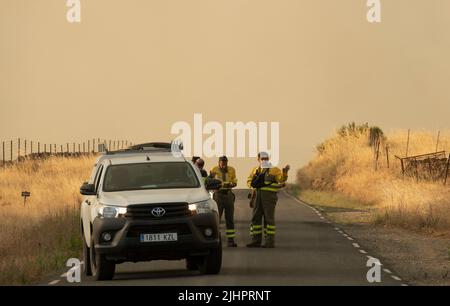 Spanien - Ávila - Cebreros - Brandwelle in Spanien - infolge der hohen Temperaturen und einer historischen Hitzewelle trafen viele Waldbrände auf der Iberischen Halbinsel. Die Brigaden und Feuerwehrleute versuchen heldenhaft, mit den Flammen umzugehen, die immer unantastbarer und schwer zu löschen werden. Stockfoto