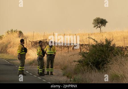 Spanien - Ávila - Cebreros - Brandwelle in Spanien - infolge der hohen Temperaturen und einer historischen Hitzewelle trafen viele Waldbrände auf der Iberischen Halbinsel. Die Brigaden und Feuerwehrleute versuchen heldenhaft, mit den Flammen umzugehen, die immer unantastbarer und schwer zu löschen werden. Stockfoto