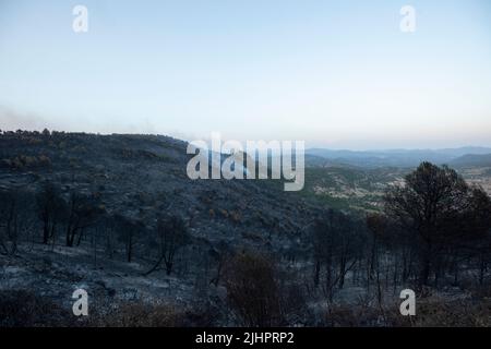 Spanien - Ávila - Cebreros - Brandwelle in Spanien - infolge der hohen Temperaturen und einer historischen Hitzewelle trafen viele Waldbrände auf der Iberischen Halbinsel. Die Brigaden und Feuerwehrleute versuchen heldenhaft, mit den Flammen umzugehen, die immer unantastbarer und schwer zu löschen werden. Stockfoto