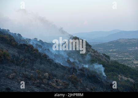 Spanien - Ávila - Cebreros - Brandwelle in Spanien - infolge der hohen Temperaturen und einer historischen Hitzewelle trafen viele Waldbrände auf der Iberischen Halbinsel. Die Brigaden und Feuerwehrleute versuchen heldenhaft, mit den Flammen umzugehen, die immer unantastbarer und schwer zu löschen werden. Stockfoto