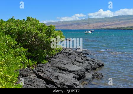 Schöner Sommermorgen in Puako Bay and Reef, South Kohala HI Stockfoto