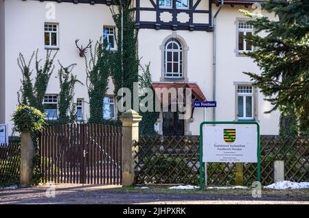 Dresden, Sachsen, Deutschland: Das Forsthaus in Klotzsche, Sitz des Staatsunternehmens Sachsenforst, Forstbezirk Dresden. Stockfoto