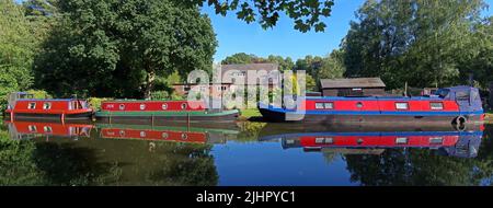 Drei Lastkähne auf dem Bridgewater-Kanal bei Thelwall, in der Nähe von Grappenhall, Warrington, GROSSBRITANNIEN, WA4 Stockfoto