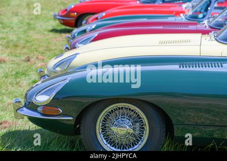 Eine Reihe von Jaguar E-Type Motorhauben, Rennwagen grün, creme, rot und orange. Stockfoto