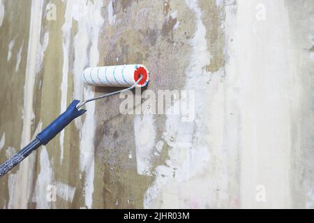 Die Gipskartonwand mit einer Walze mit einer Grundierung abdecken Stockfoto