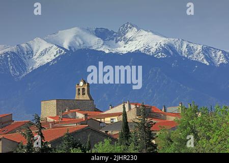 Frankreich, Pyrénées-Orientales (66) Arboussols, le Village, le Massif du Canigou enneigé / Frankreich, Pyrénées-Orientales Arboussols, das Dorf, das schneebedeckte Canigou-Massiv Stockfoto