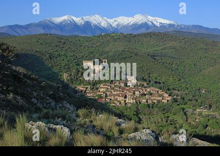 Frankreich, Pyrénées-Orientales (66) Castelnou, classé parmi les plus beaux Villages de France, au loin le Canigou / Frankreich, Pyrénées-Orientales Castelnou, klassifiziert zu den schönsten Dörfern Frankreichs, in der Ferne der Canigou Stockfoto