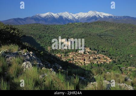Frankreich, Pyrénées-Orientales (66) Castelnou, classé parmi les plus beaux Villages de France, au loin le Canigou / Frankreich, Pyrénées-Orientales Castelnou, klassifiziert zu den schönsten Dörfern Frankreichs, in der Ferne der Canigou Stockfoto