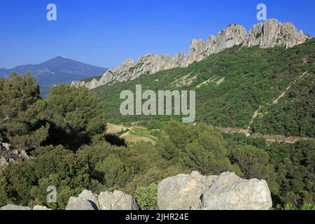 Frankreich, Vaucluse (84) Gigondas, Les Dentelles de Montmirail, falaises de Monts du Vaucluse au coeur du vignoble de l'Appellation Côtes-du-Rhône / Frankreich, Vaucluse Gigondas, Les Dentelles de Montmirail, Klippen von Monts du Vaucluse im Herzen der Weinberge der Appellation Côtes du Rhône Stockfoto