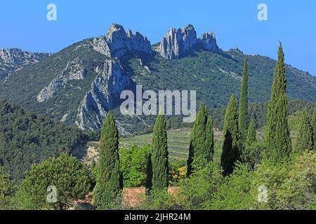 Frankreich, Vaucluse (84) Gigondas, Les Dentelles de Montmirail, falaises de Monts du Vaucluse au coeur du vignoble de l'Appellation Côtes-du-Rhône / Frankreich, Vaucluse Gigondas, Les Dentelles de Montmirail, Klippen von Monts du Vaucluse im Herzen der Weinberge der Appellation Côtes du Rhône Stockfoto