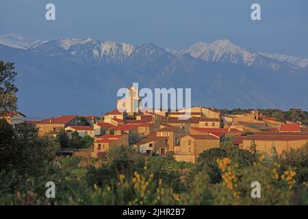 Frankreich, Pyrénées-Orientales (66) Arboussols, le Village, le Massiv des Pyrénées enneigés / Frankreich, Pyrénées-Orientales Arboussols, das Dorf, die verschneiten Pyrenäen Stockfoto