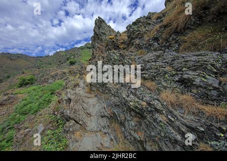 France, Gard (30) Mont Aigoual est un sommet situé dans le sud du Massif Central, sur la limite entre le Gard et la Lozère, sentier de randonnée des 4000 Marches / Frankreich, Gard Mont Aigoual ist ein Gipfel im Süden des Zentralmassivs, An der Grenze zwischen Gard und Lozère, Wanderweg der 4000 Stufen Stockfoto