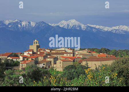 Frankreich, Pyrénées-Orientales (66) Arboussols, le Village, le Massiv des Pyrénées enneigés / Frankreich, Pyrénées-Orientales Arboussols, das Dorf, die verschneiten Pyrenäen Stockfoto