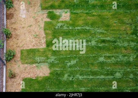 Frankreich, Region Ile de France, Val d'Oise, Montigny les Cormeilles, Gartenarbeit, Rasen Stockfoto