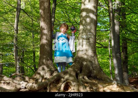 Kleines Mädchen an den Wurzeln einer mehr als 200 Jahre alten Kupferbuche, die Wind und Wetter ausgesetzt ist, Gieselautal in Dithmarschen nahe dem Steinzeitpark Stockfoto