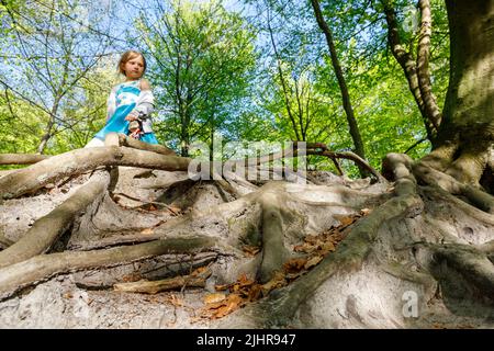 Kleines Mädchen an den Wurzeln einer mehr als 200 Jahre alten Kupferbuche, die Wind und Wetter ausgesetzt ist, Gieselautal in Dithmarschen nahe dem Steinzeitpark Stockfoto