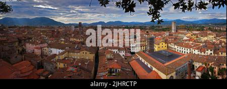 Panorama der Stadt Lucca. Aufgenommen vom Guinigi-Turm. Sie können einen großen Teil des historischen Zentrums sehen Stockfoto