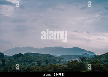 Tropische Bergkette mit sichtbaren Silhouetten durch den morgendlichen bunten Nebel. Stockfoto