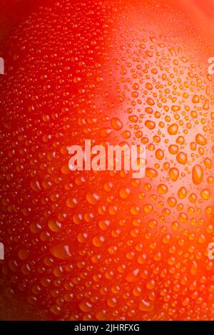 Abstrakt von Tomatenoberfläche mit Tau, rote und orangefarbene Beerenoberfläche mit Wassertropfen Hintergrund, Tapete oder Hintergrund, Makro Stockfoto