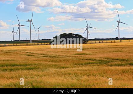 Windpark Fraisthorpe, Bridlington, East Yorkshire, England Stockfoto