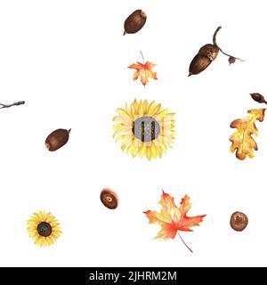 Aquarell-Herbstmuster. Eine Gartenkollektion im Herbst. Eine Reihe von Aquarell-Illustrationen, darunter Sonnenblumen, Ahorn- und Eichenblätter und Eicheln. It Stockfoto