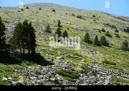 Der Weg, der den Hang hinauf führt. El Moncayo oder San Miguel ist ein Berg im iberischen System zwischen den Provinzen Zaragoza und Soria. Mit i Stockfoto